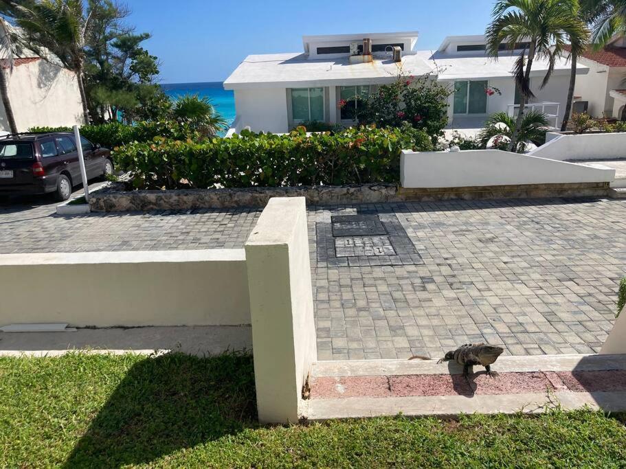 Cancun Oceanfront, Entire Apartment Kültér fotó